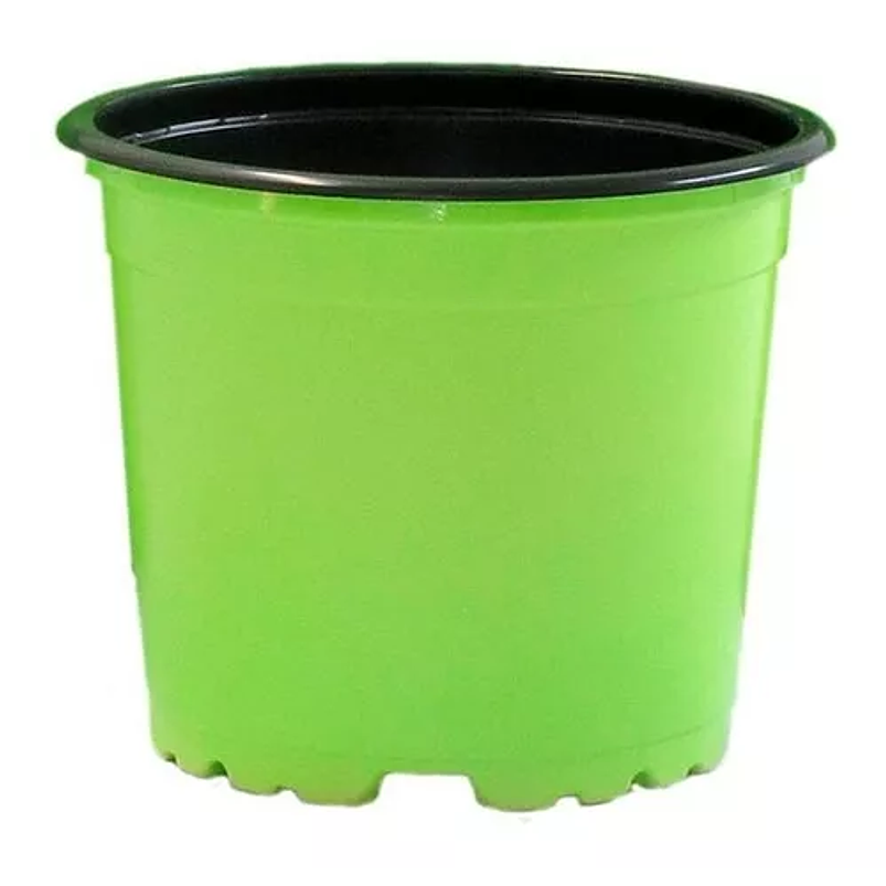 Matera - Maceta Tipo Vivero Color #12x10. Paquete 50 Unid 4