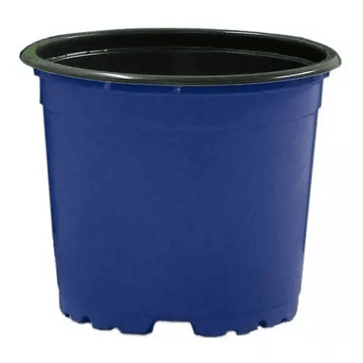 Matera - Maceta Tipo Vivero Color #12x10. Paquete 50 Unid 7