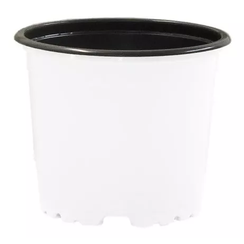 Matera - Maceta Tipo Vivero Color #12x10. Paquete 50 Unid 8