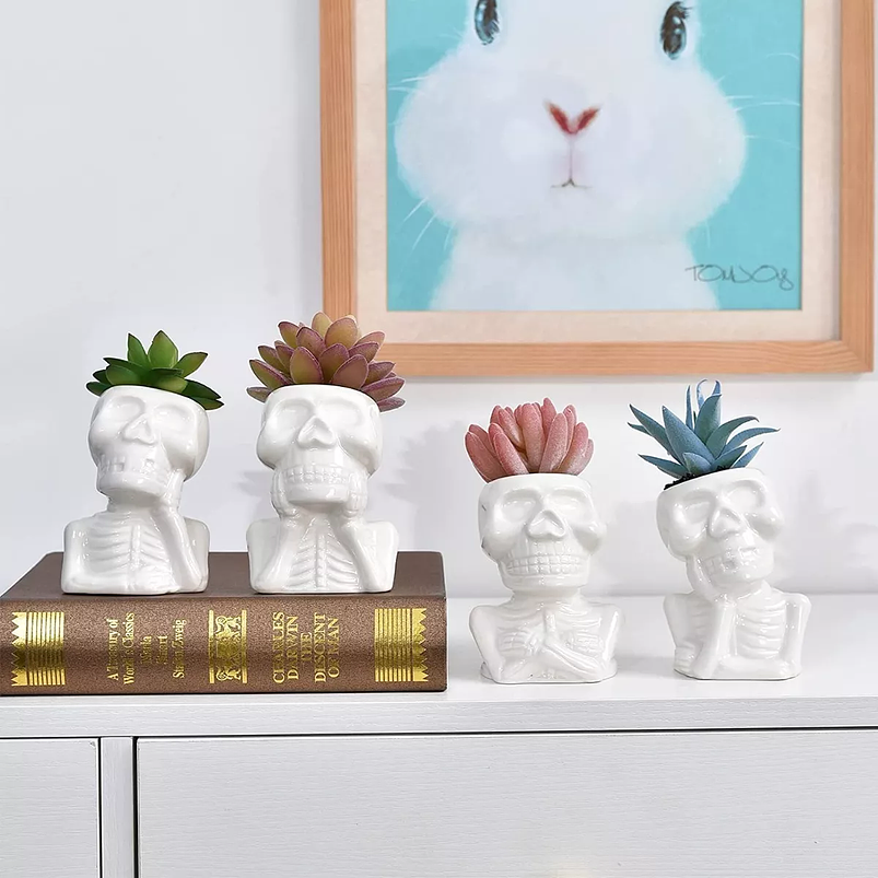 Juego De Macetas En Cerámica Cactus -suculentas X4 Premium 2