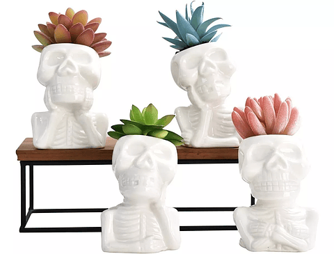 Juego De Macetas En Cerámica Cactus -suculentas X4 Premium