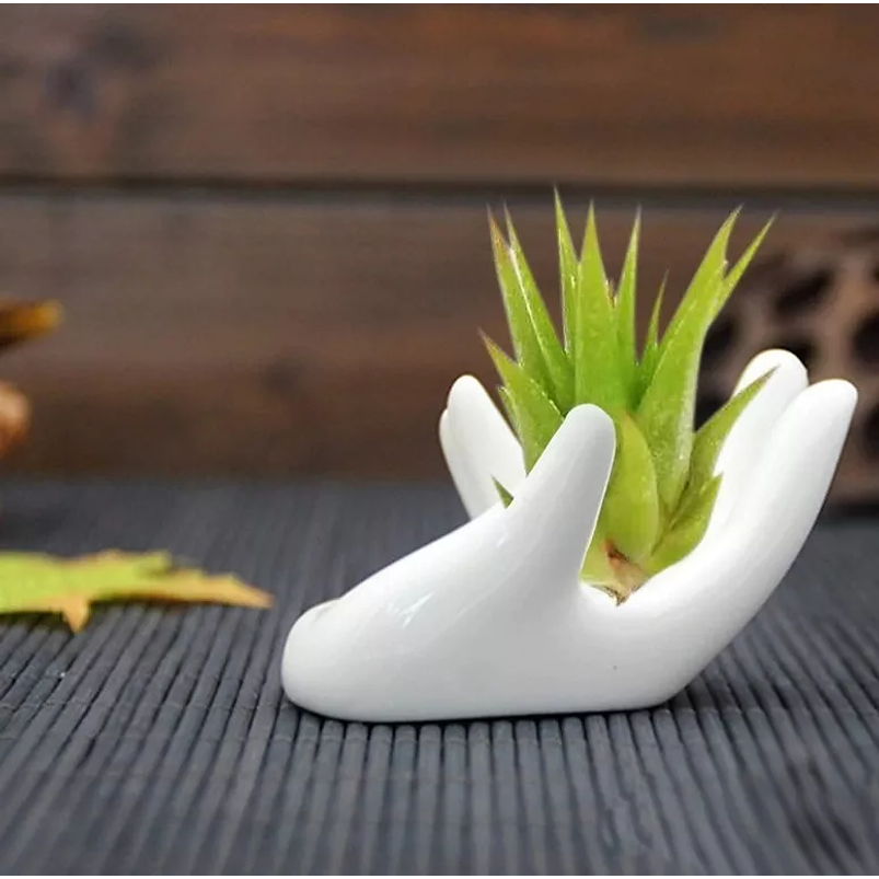 Maceta Para Plantas Aéreas Diseño Mano En Cerámica Fina 3