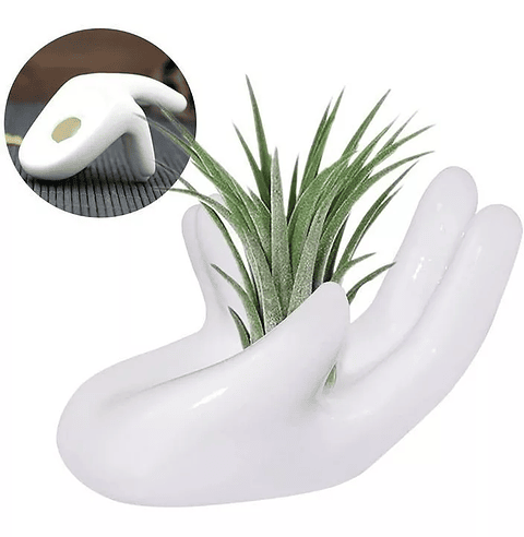 Maceta Para Plantas Aéreas Diseño Mano En Cerámica Fina