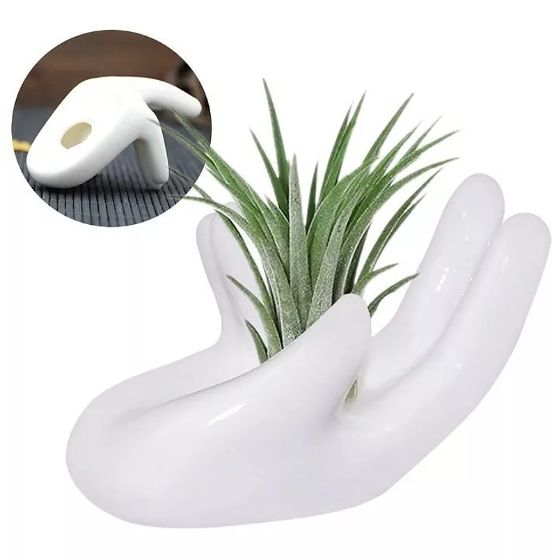 Maceta Para Plantas Aéreas Diseño Mano En Cerámica Fina 1