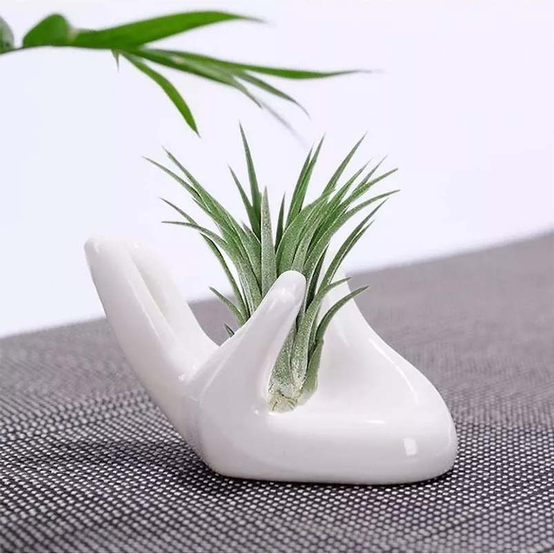 Maceta Para Plantas Aéreas Diseño Mano En Cerámica Fina 4