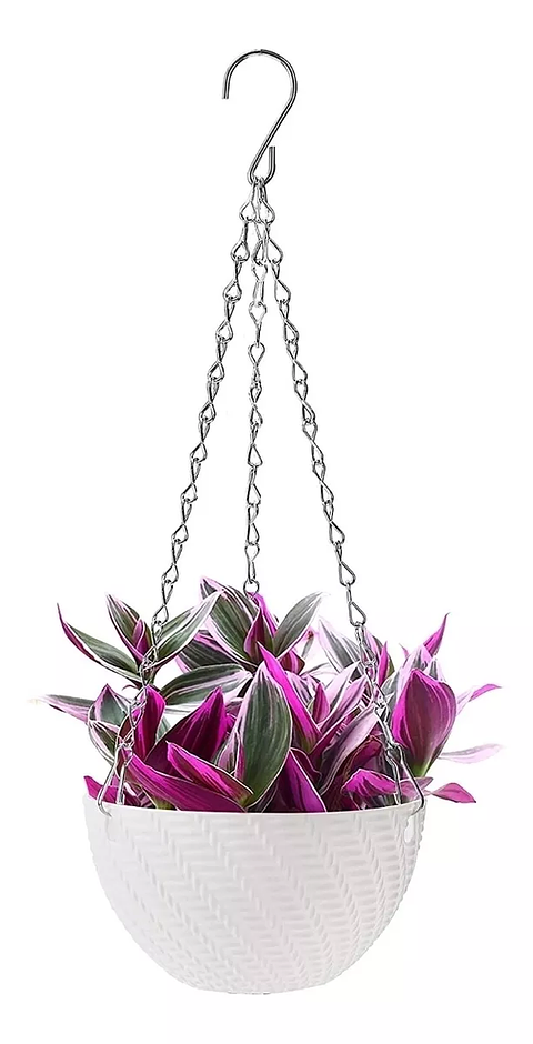 Maceta Plástica Colgante 15cm Diametro Y Sistema Autoriego