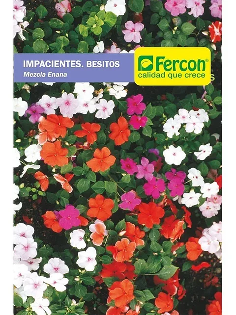 Semillas De Besitos Para Siembra 99% Pureza