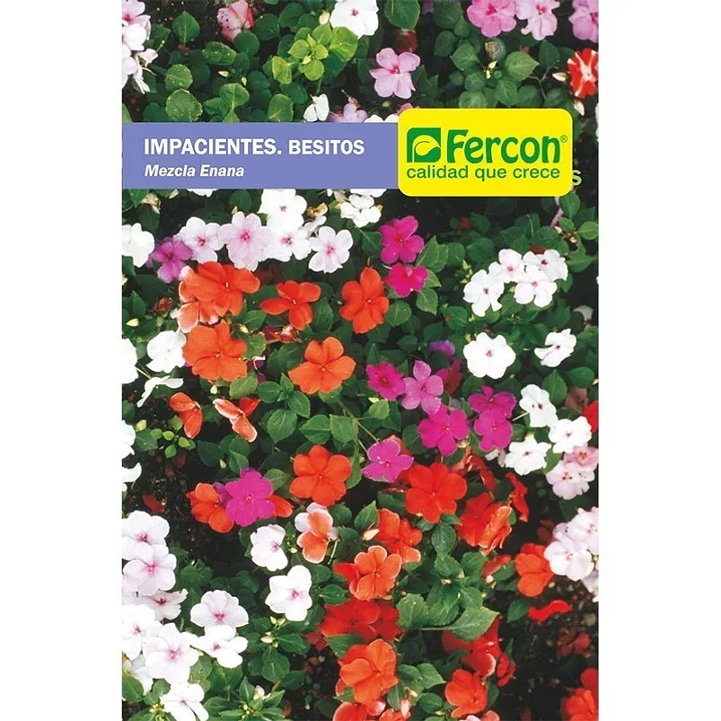 Semillas De Besitos Para Siembra 99% Pureza 1