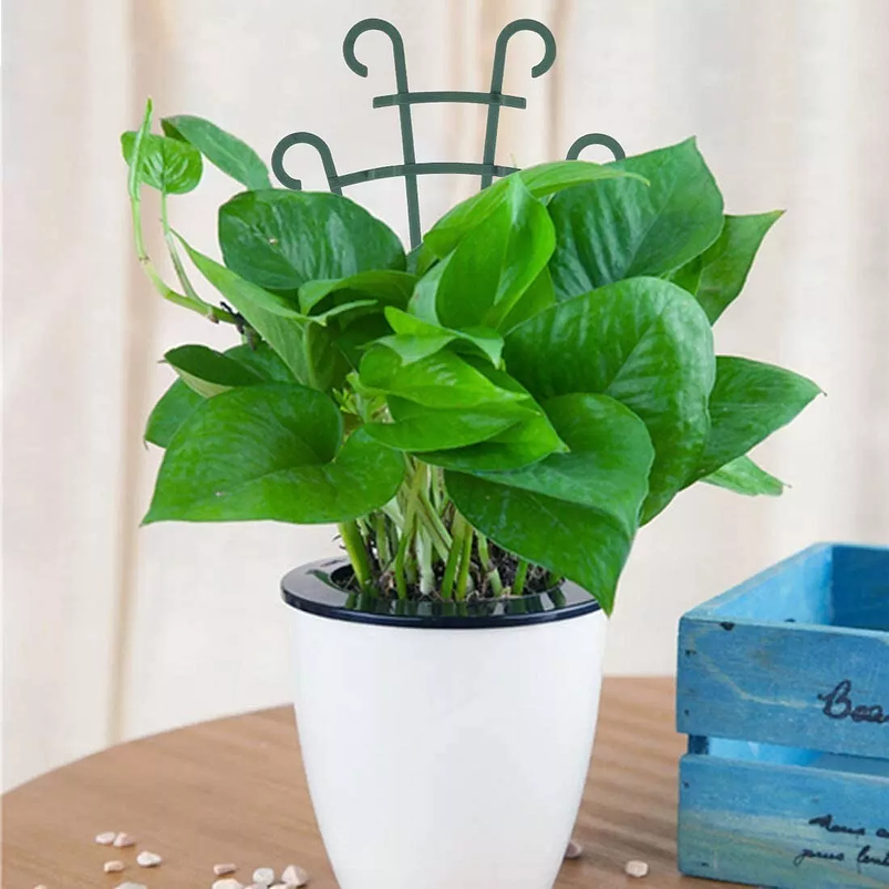 Soporte - Enrejado -Tutor Plástico Para Plantas Trepadoras x2 Unidades 3