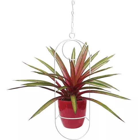 Soporte De Materas De Plantas Colgante 53cms Alto Bora Bora