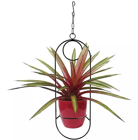 Soporte De Materas De Plantas Colgante 53cms Alto Bora Bora