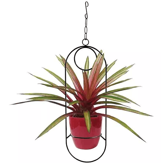 Soporte De Materas De Plantas Colgante 53cms Alto Bora Bora 2
