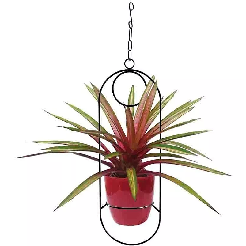 Soporte De Materas De Plantas Colgante 53cms Alto Bora Bora 2