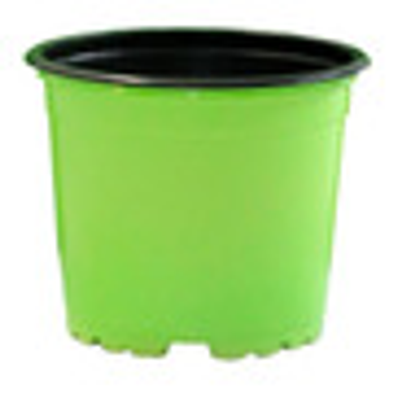 Matera - Maceta Tipo Vivero Color #12x10. Paquete x25 Unidades 8