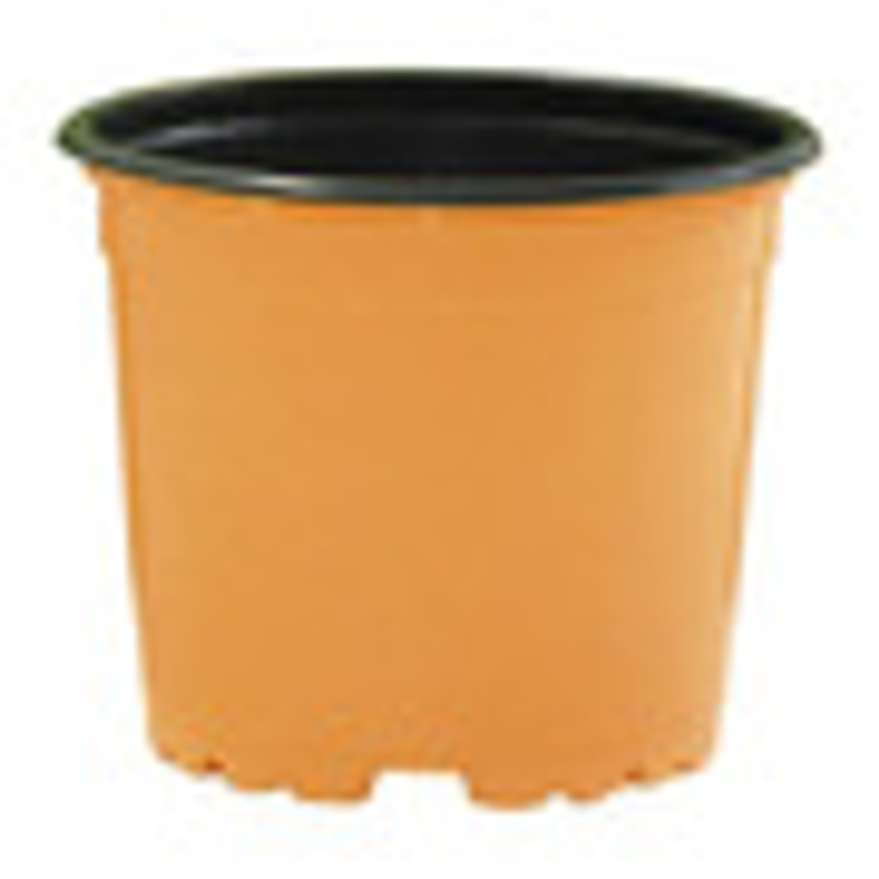 Matera - Maceta Tipo Vivero Color #12x10. Paquete x25 Unidades 9