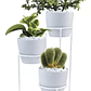 Soporte De Mesa Para Plantas más 3 Macetas 9cm Diametro Soporte Blanco - Miniatura 6