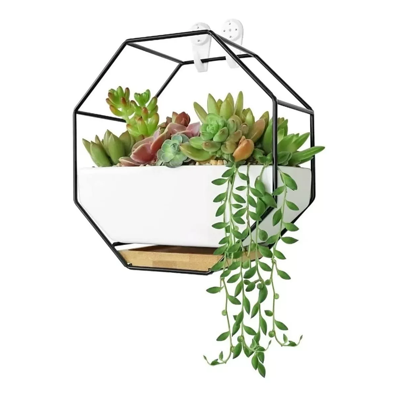 Matera Ceramica y Soporte de Pared Para Plantas Octagono 2
