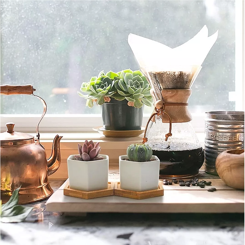 Maceta Hexagonal 1unid Cerámica 7cm Ancho x5cm alto más plato Bamb 2