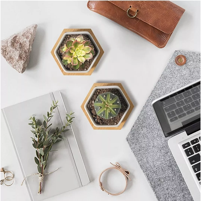 Maceta Hexagonal 1unid Cerámica 7cm Ancho x5cm alto más plato Bamb 4