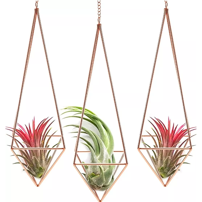 Soporte Colgante Plantas Aéreas 1