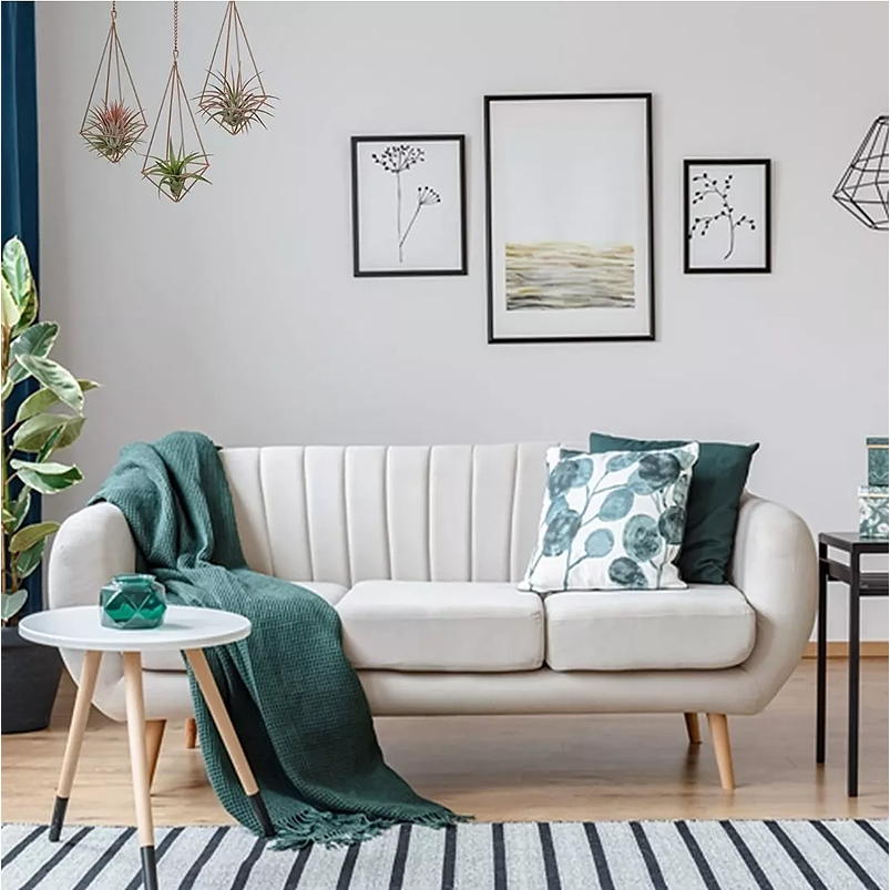 Soporte Colgante Plantas Aéreas 4