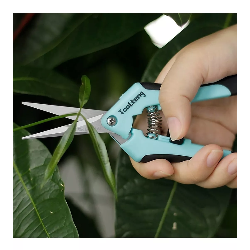 Tijera De Poda De Plantas Recubrimiento Titanio Punta Recta 5