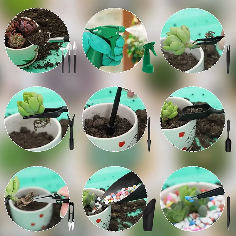 Kit Herramientas Jardín Siembra Cactus Y Suculentas X15 Pz 3