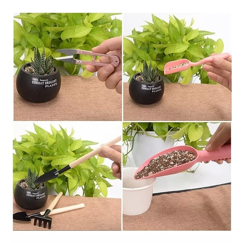 Kit Herramientas Siembra Suculentas Cactus X18 Piezas  6