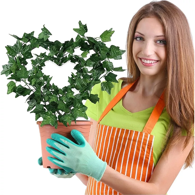 2 Piezas Forma Corazón Para Guía De Plantas Enredaderas 3