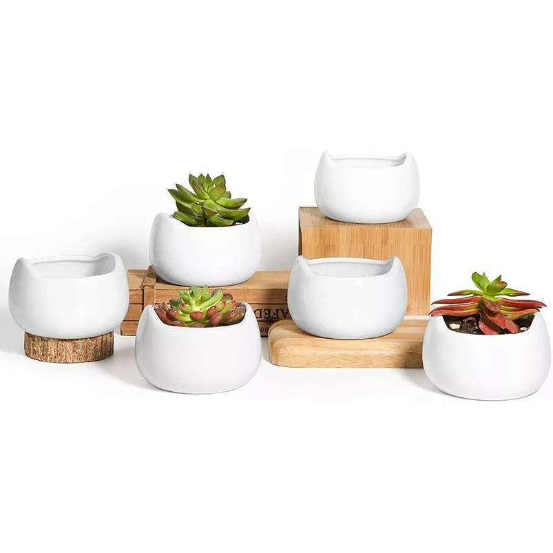 Juego Macetas x6 Uníd Cerámica 9.5cm Ancho X6cm Alto 1