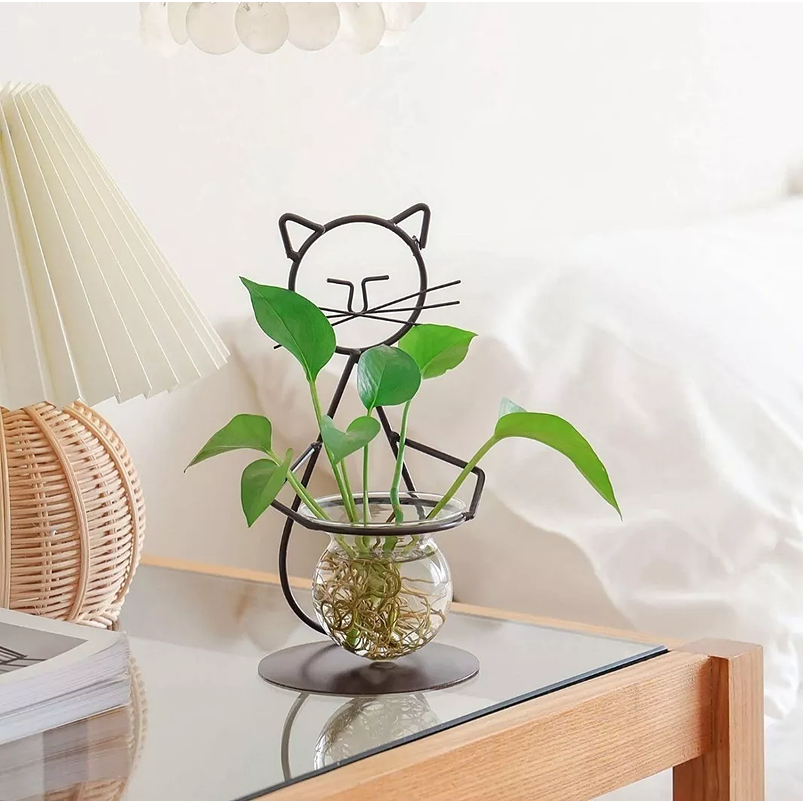 Maceta Decorativa De Mesa Plantas Acuaticas y Arreglos de Flores Naturales 3