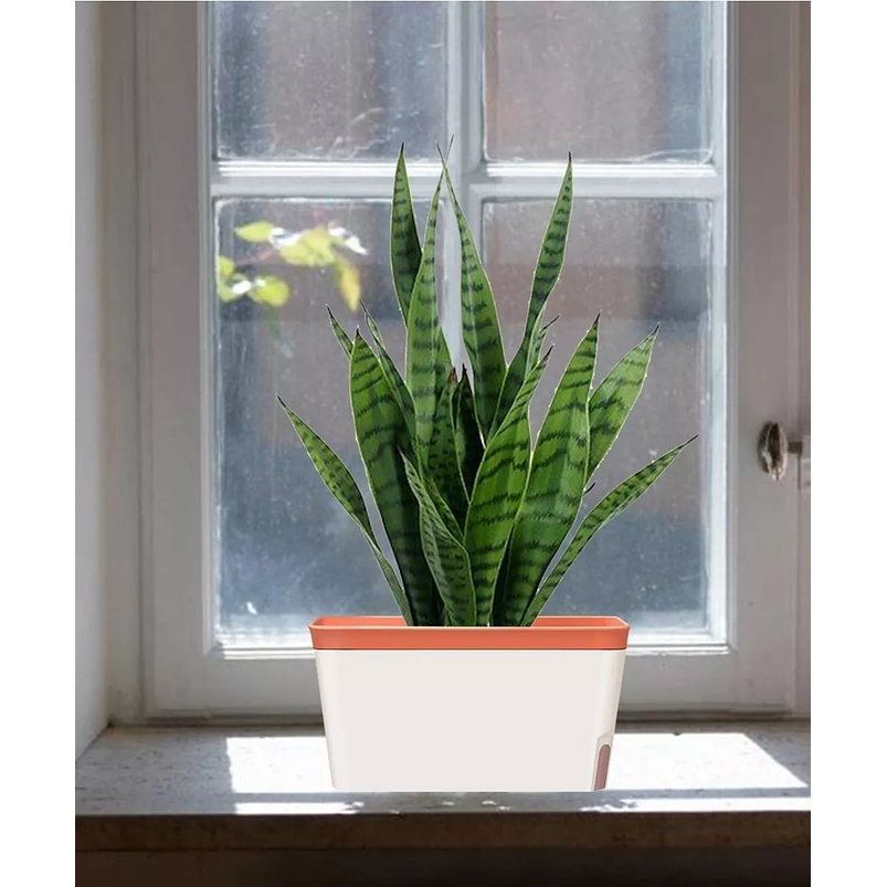 Maceta Rectangular Premium Autoriego Arcilla 27,5dx14cm Alto 1