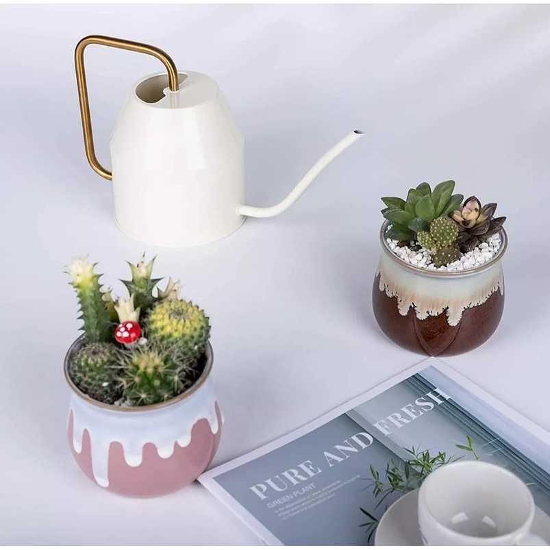 Juego Macetas X6unid Cerámica Fina 5cm Diamx5cm Alto Colores 4