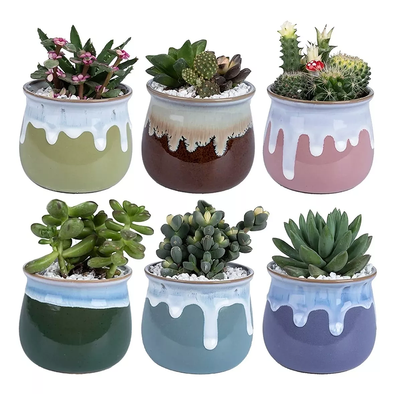Juego Macetas X6unid Cerámica Fina 5cm Diamx5cm Alto Colores 1