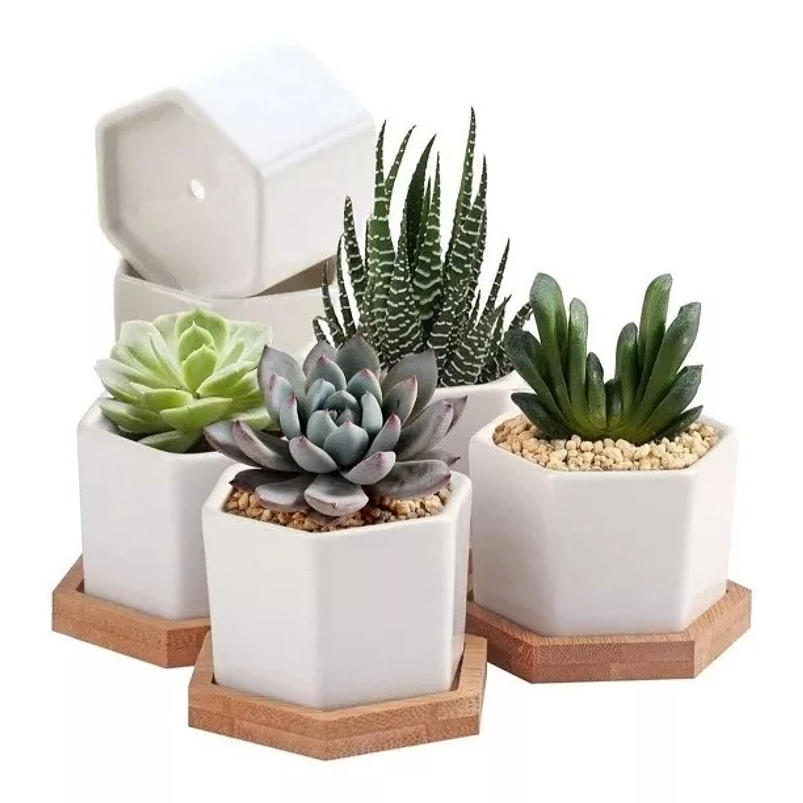 Maceta Hexagonal Blanca Cerámica X6unid. 7cm Ax5cmalto+plato 1