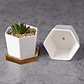 Maceta Hexagonal Blanca Cerámica X6unid. 7cm Ax5cmalto+plato - Miniatura 5