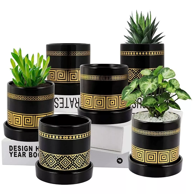 Juego Maceta Cerámica X6+plato Negro Dorado 9cm Altox8cm Dia Negro -Dorado Negro 1