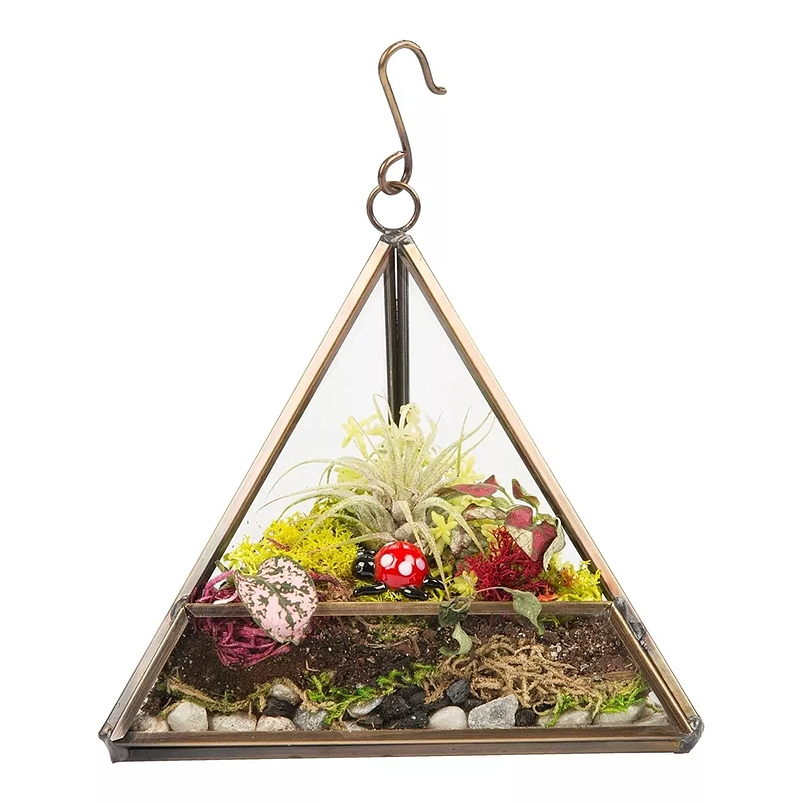 Kit Siembra En Terrario Triangular x13cm Cristal Dorado 1