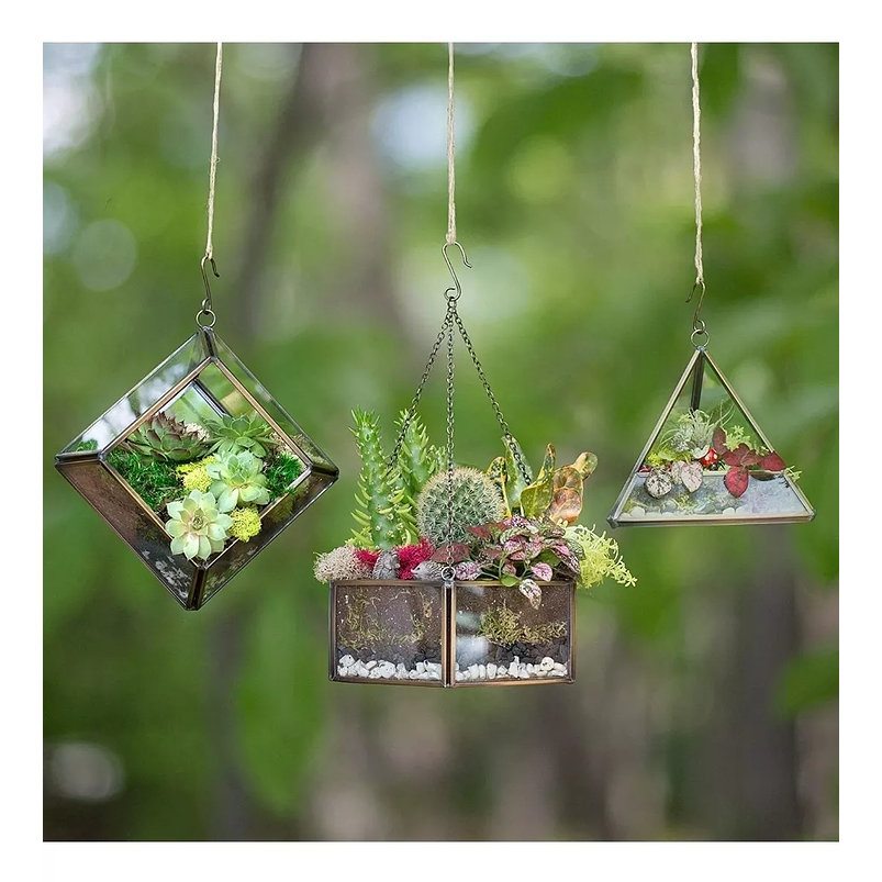 Kit Siembra En Terrario Triangular x13cm Cristal Dorado 2