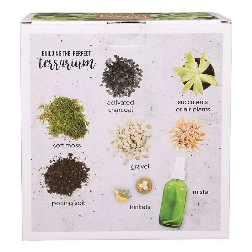 Kit Siembra En Terrario Triangular x13cm Cristal Dorado 3