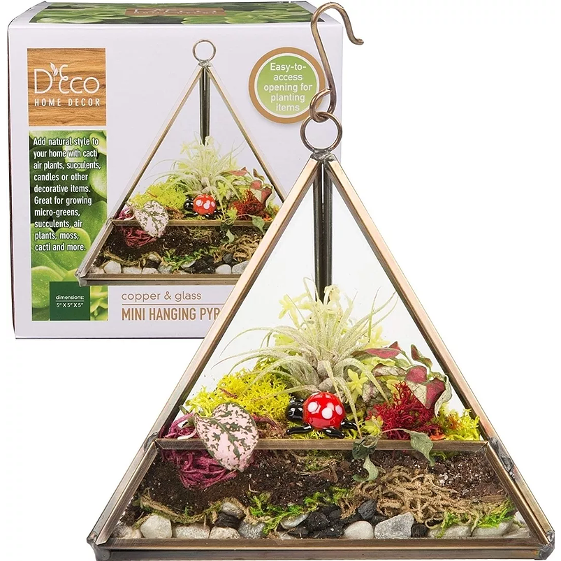 Kit Siembra En Terrario Triangular x13cm Cristal Dorado 4