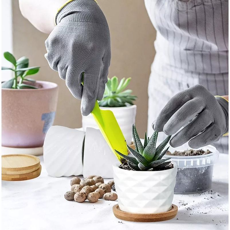 Juego De Macetas En Cerámica Y Bambú De Cactus Suculenta x6 2