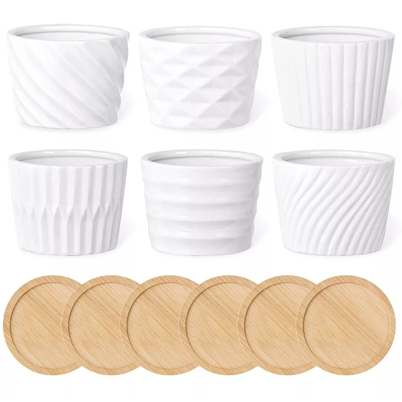 Juego De Macetas En Cerámica Y Bambú De Cactus Suculenta x6 1