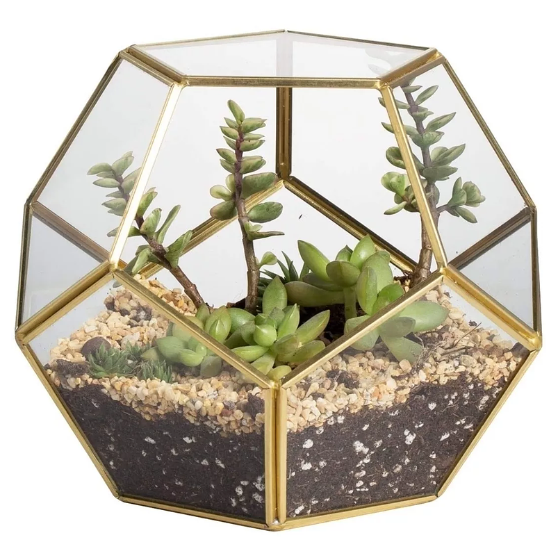 Terrario Dodecaedro Plantas Suculenta Dorado En Vidrio 1