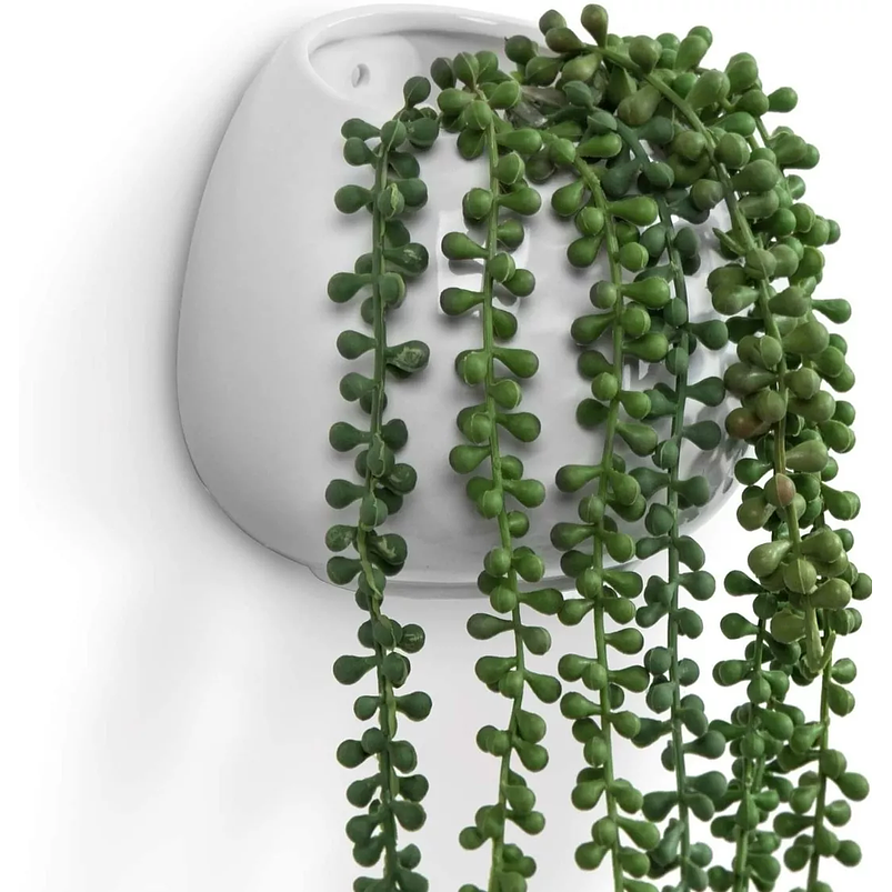Maceta Cerámica Premium Pared Forma Gota De Plantas 1