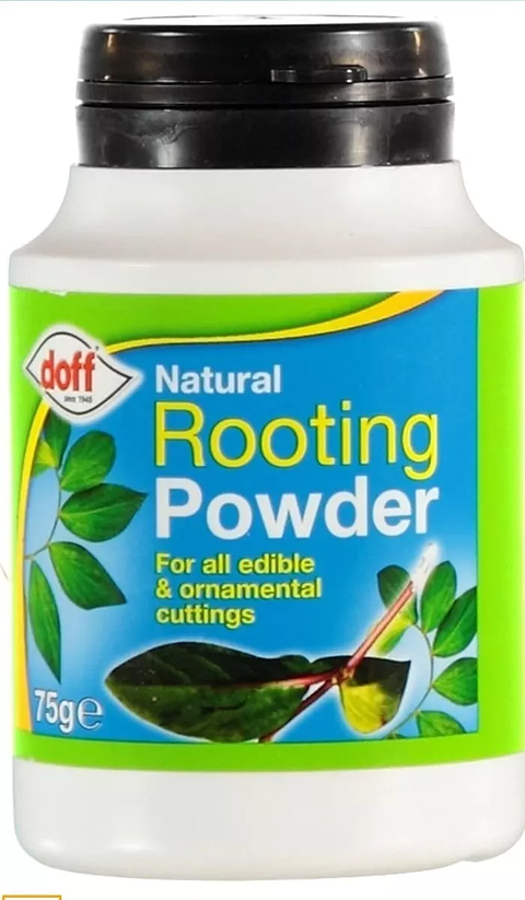 Enraizante De Plantas Hormonas Natural x75gr Doff