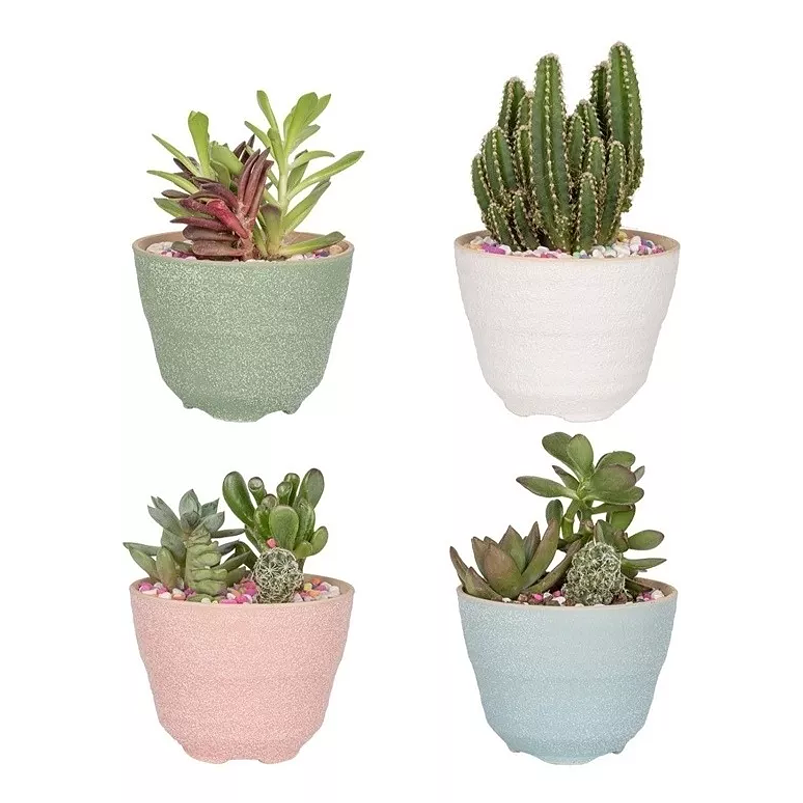 Juego Macetas X4 Unid Cerámica Tono Pastel 9cm Diamx7cm Alto Pastel x4 Pastel 1