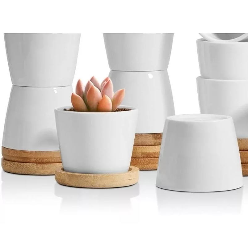 Maceta Cerámica Premium Cactus más plato Bambu 1unid 6.5cm Diam Blanco 1