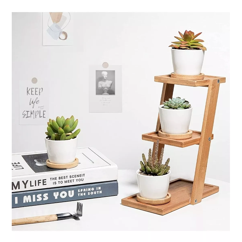 Maceta Cerámica Premium Cactus más plato Bambu 1unid 6.5cm Diam Blanco 4