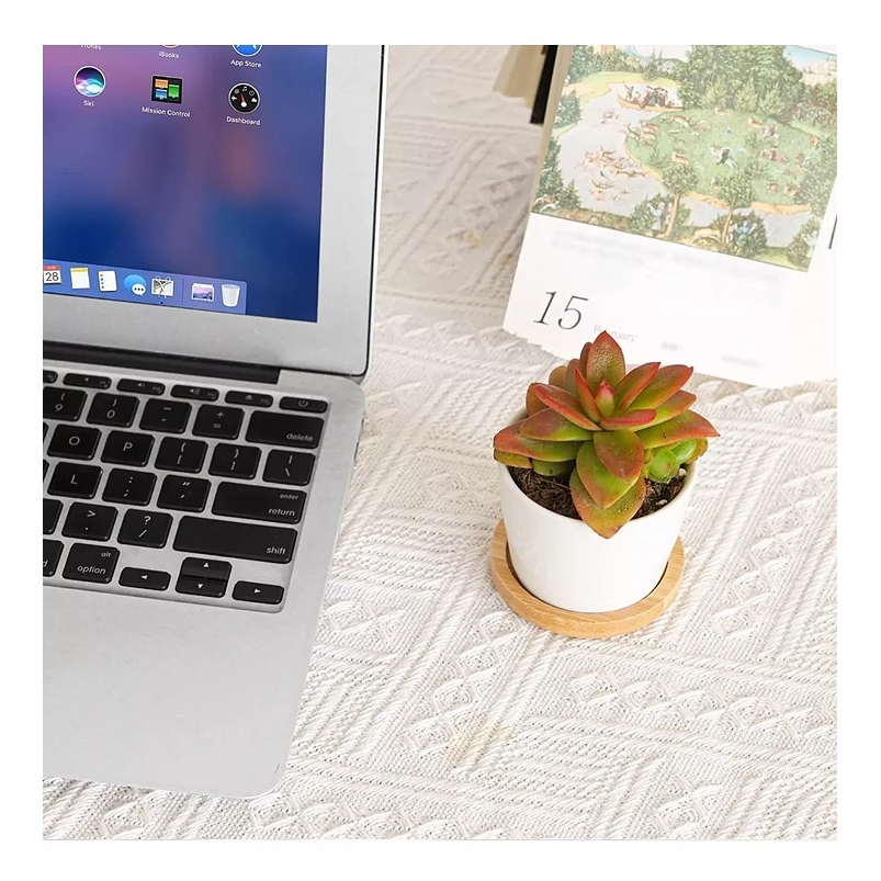 Maceta Cerámica Premium Cactus más plato Bambu 1unid 6.5cm Diam Blanco 5